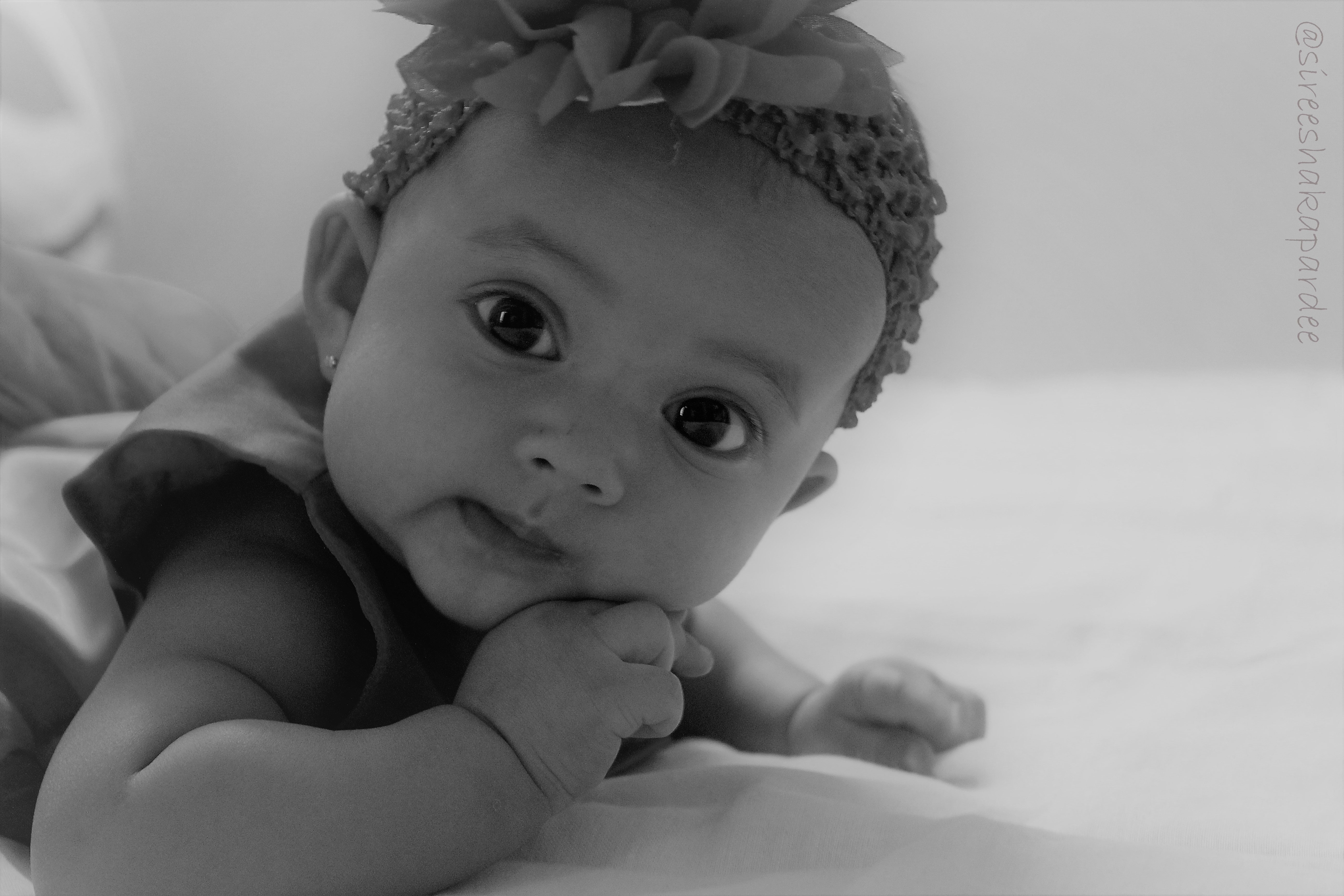Innocence | Shutterbug